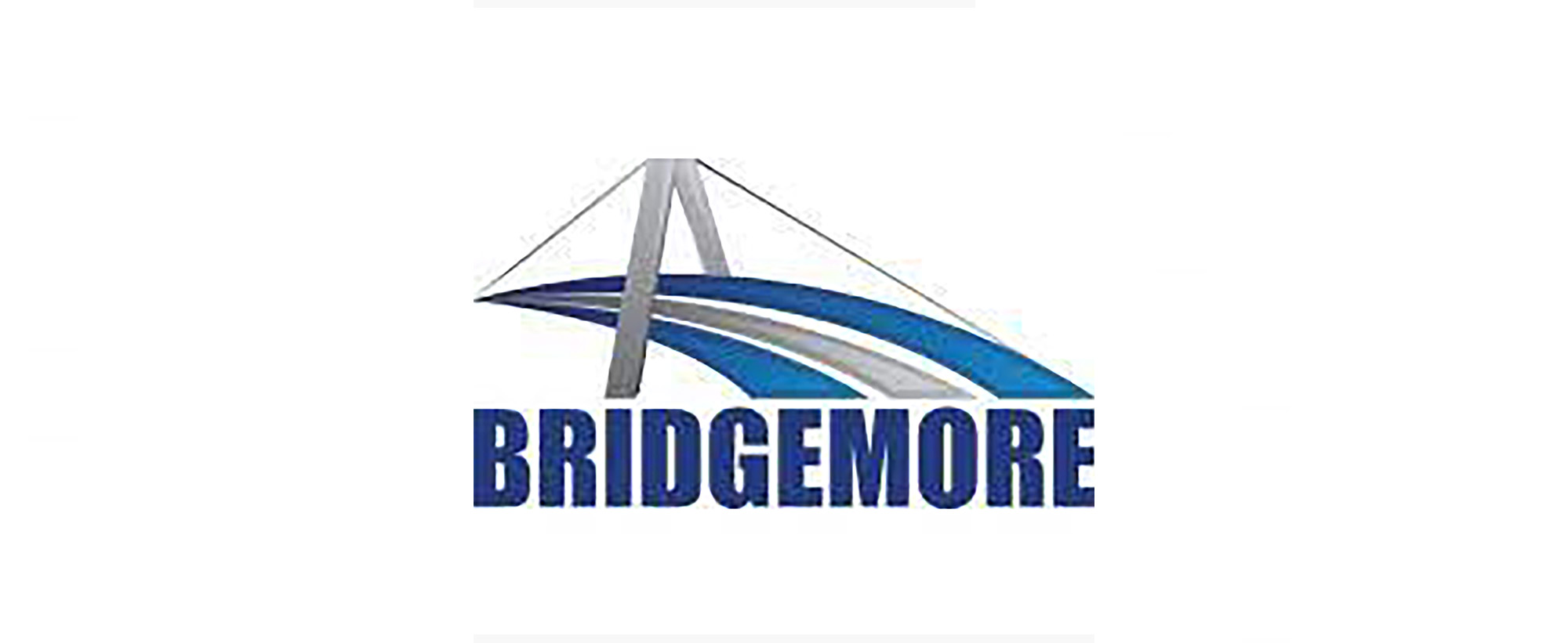 Bridgemore inc, success stories